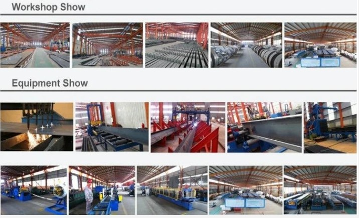 Qingdao Xinguangzheng Husbandry Co.,  Ltd خط تولید کارخانه