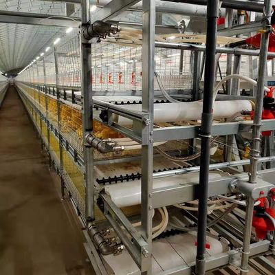ساختاري فولادي صنعتي دامزارخانه استفاده از پنل رنگی