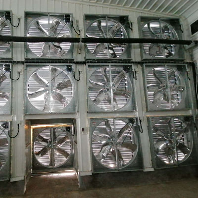 سالن مرغداری فولادی با پنجره‌های کشویی و تهویه