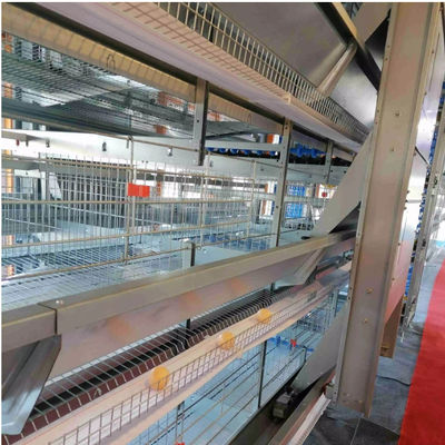 سالن مرغداری فولادی با پنجره‌های کشویی و تهویه