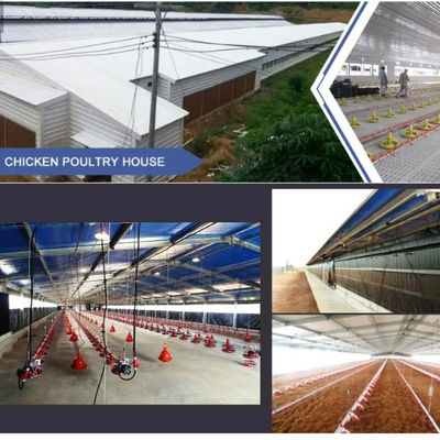 خانه دامداری پیش‌ساخته فولادی با مقطع H و عایق PVC