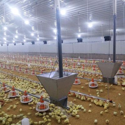 سیستم کف گوشت مرغ با مقاومت در برابر خوردگی / مواد پلاستیکی