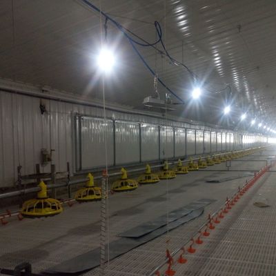 استاندارد سیستم کف ضد لغزش برای عملکرد برتر