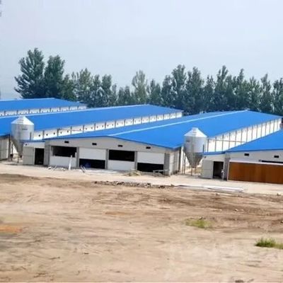 طراحی آسان جمع آوری قابل حمل ارزان قیمت خانه مرغ ساختار فولادی