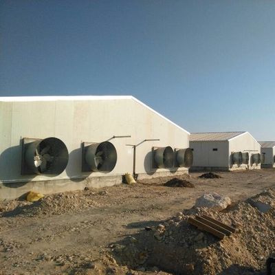 خانه مرغ ساخته شده با پانل عایق