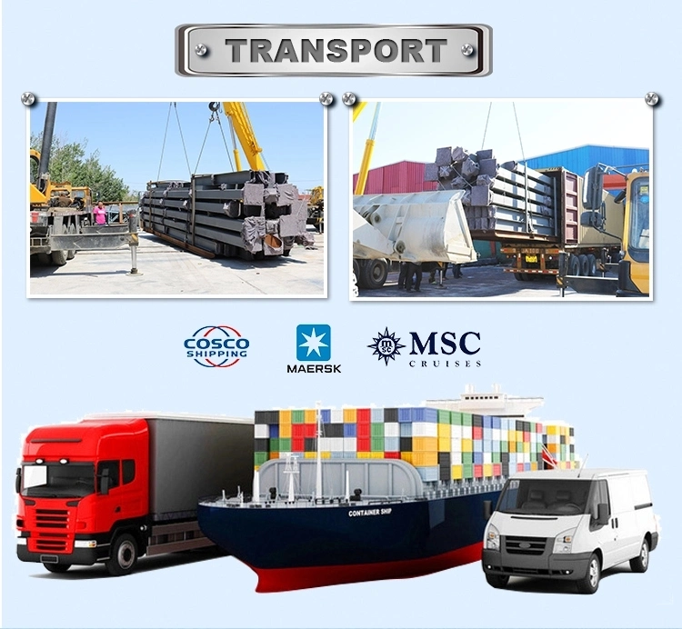 SGS مزرعه دام خانۀ ساختگی اتوماتیک فولاد قاب مرغ 10